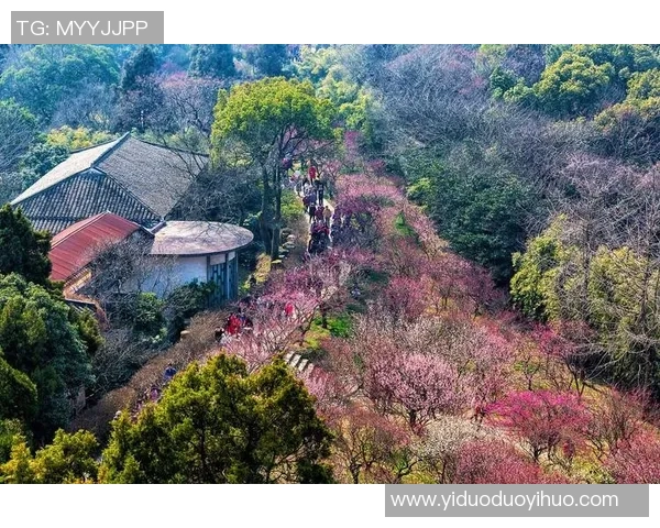 浙江广厦周边优美风光与丰富文化地标,旅游胜地值得探索