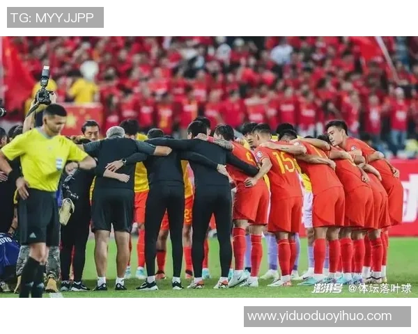 谢晖率队战术革新引热议球队崛起背后的智慧与坚持