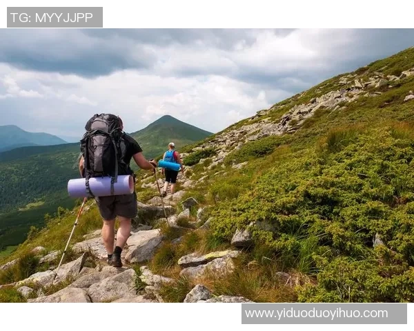 运动改变人生，探索科学与健康的完美融合之道